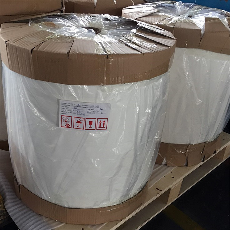 
                PE Coated Paper Cup Paper
            