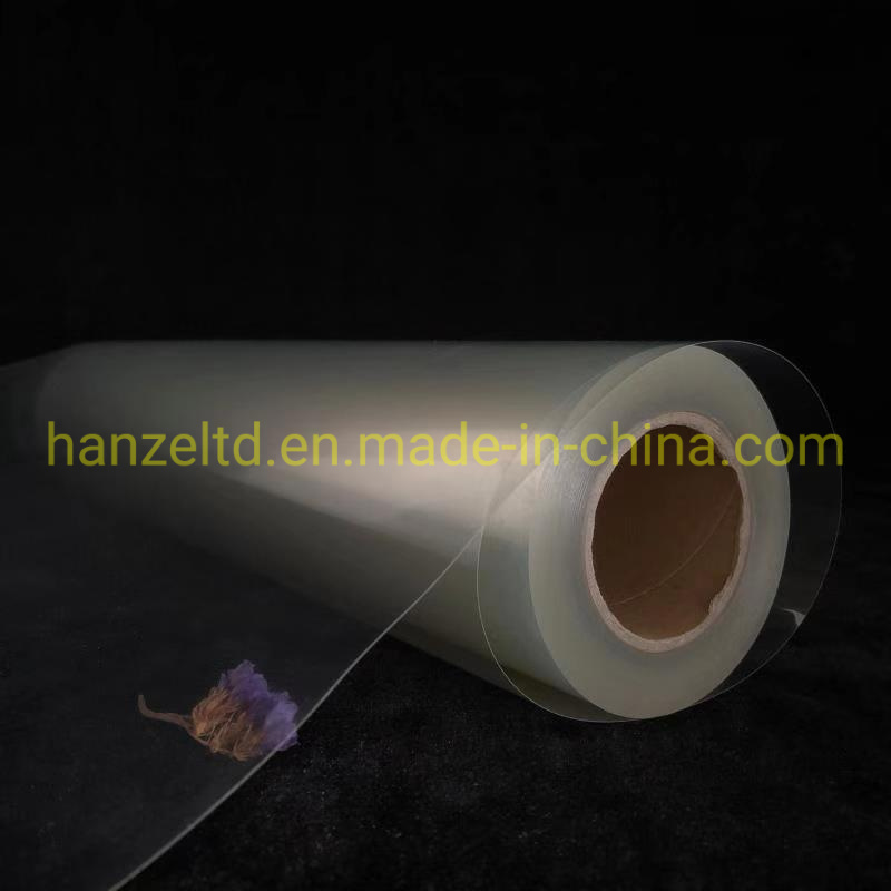 
                Clear Pet Inkjet Film for Screen Printing Plate-Making 60 Inch
            