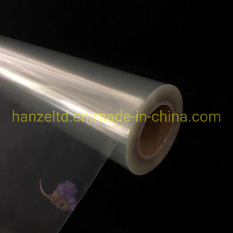 
                Clear Pet Inkjet Film for Screen Printing Plate-Making
            