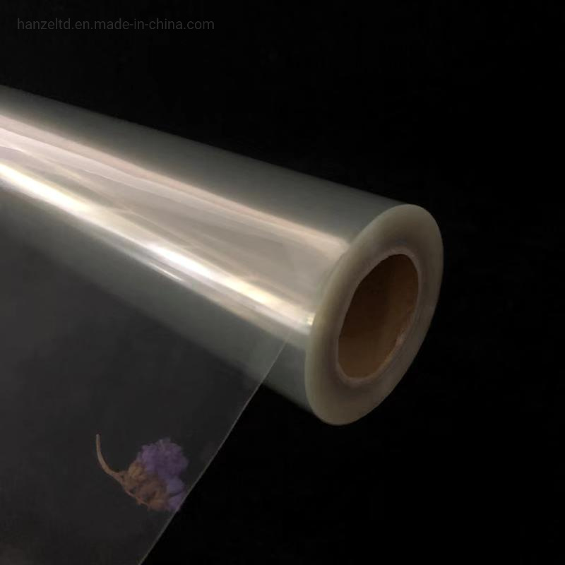 
                Transparent Film Roll for Screen Printing
            
